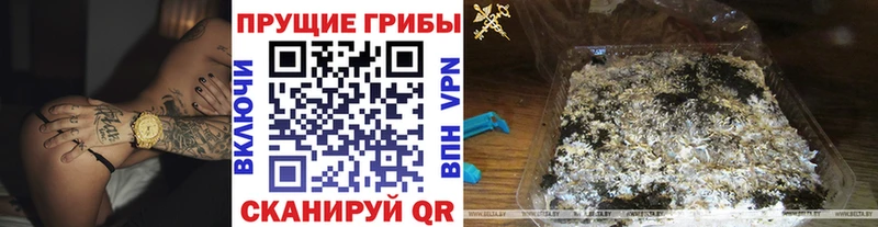 Галлюциногенные грибы Psilocybe  где продают наркотики  Лангепас 