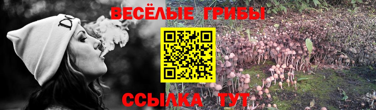 Псилоцибиновые грибы Psilocybine cubensis  Вход с VPN  купить   Галлюциногенные грибы мицелий  Лангепас 